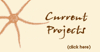 CBEP Climate Change  projects